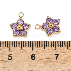 304 Stainless Steel Micro Pave Cubic Zirconia Charms&nbsp;STAS-B088-01G-05