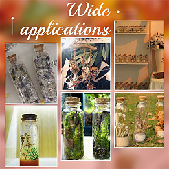 30Pcs Glass Bottle&nbsp;CON-WH0086-078