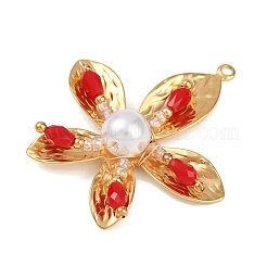 304 Stainless Steel Pendants&nbsp;STAS-R170-05G-06