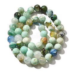 Natural Chrysocolla Beads Strands&nbsp;G-F784-A01-02