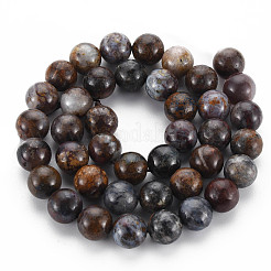 Natural Pietersite Beads Strands&nbsp;G-R446-10mm-13