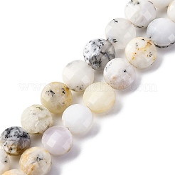 Natural White African Opal Beads Strands&nbsp;G-C179-A35-03