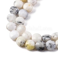 Natural White African Opal Beads Strands&nbsp;G-C179-A35-03