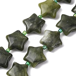 Natural Green Jade Beads Strands&nbsp;G-K359-E06