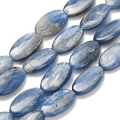 Natural Kyanite Beads Strands&nbsp;G-H335-D01-8x15mm