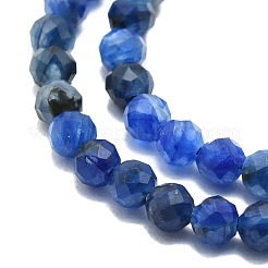 Natural Kyanite Beads Strands&nbsp;G-P457-A02-20