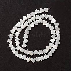 天然トロチッドシェル/トロカスシェルビーズ  ピーチハート  貝殻色  6.5x6.5x2~2.5mm  穴：0.8mm  約60~63個/連  145-15.5インチ（37~40cm）&nbsp;SSHEL-O001-27A