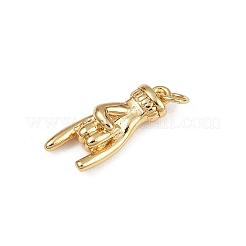 Brass Pendants&nbsp;KK-S528-08G