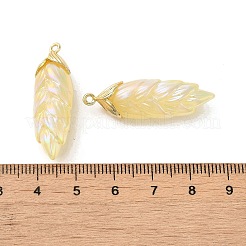 Rainbow Iridescent Plating Resin Pendants&nbsp;RESI-C047-03C-G