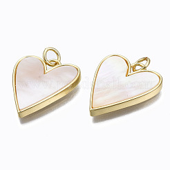 Brass Pendants&nbsp;KK-N237-012-NF