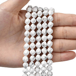 Natural Howlite Beads Strands&nbsp;G-Z119-A43-02