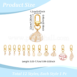Electroplate Shell Pendant Decorations&nbsp;HJEW-NB00203