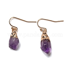 Natural Amethyst Dangle Earrings&nbsp;EJEW-G413-01B-G