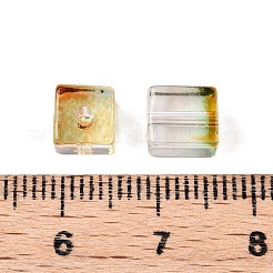 Baking Paint Transparent Glass Beads&nbsp;LS-DGLA-N005-01A-01
