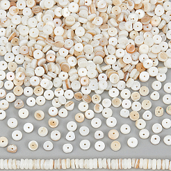 3 Strands Natural Shell Beads Strands&nbsp;SSHEL-NB0001-44A