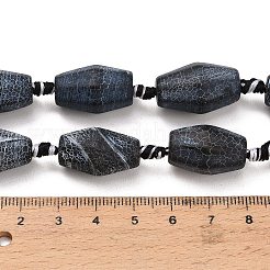 Natural Weathered Agate Beads Strands&nbsp;G-A321-B02-02