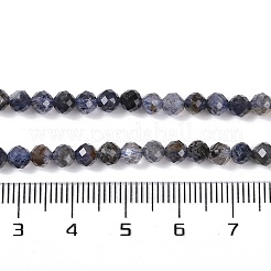 Natural Iolite Beads Strands&nbsp;X-G-G139-A11-03