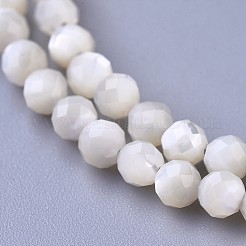 シェルビーズのネックレス  真鍮カニカン付き  ファセットラウンドビーズ  16.5インチ〜16.7インチ（42~42.5cm）x2mm&nbsp;NJEW-K114-A-B01
