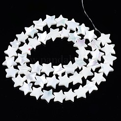 天然トロチッドシェル/トロカスシェルビーズ連売り  漂白  スター  ホワイト  9~10x9~11x2.5mm  穴：0.5mm  約49~50個/連  15.55インチ〜16.14インチ（39.5~41cm）&nbsp;SSHEL-N034-96A-B01