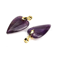Natural Amethyst Pendants&nbsp;G-E570-01G-05