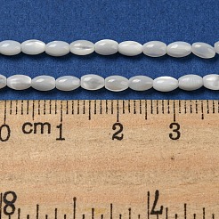 天然ニシキウズガイシェルビーズ連売り  オーバル  ホワイトスモーク  4~4.5x2.8mm  穴：0.5mm  約89~90個/連  15.55~15.94''（39.5~40.5センチメートル）&nbsp;SSHEL-H072-02A
