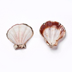 シェルペンダント  鉄のパーツと  シェル  ライトゴールド  38.5~42x35~38x6.5~8mm  穴：1.6~1.8mm&nbsp;SHEL-P075-01