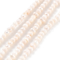 天然養殖淡水パールビーズ連売り  ポテト  パパイヤホイップ  1.5~2mm  穴：0.3mm  約95~111個/連  6.89~7.48インチ（17.5~19cm）&nbsp;PEAR-C003-02A