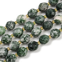 Natural Green Spot Jasper Beads Strands&nbsp;G-N342-149I-19