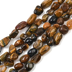 Natural Pietersite Beads Strands&nbsp;G-A286-A01-01