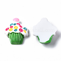 Spray Painted Resin Cabochons&nbsp;CRES-Q215-005