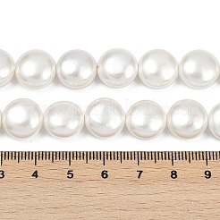 Electroplated Shell Pearl Beads Strands&nbsp;BSHE-G027-13B