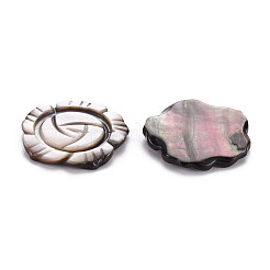 Natural Black Lip Shell Cabochons&nbsp;SSHEL-T014-24