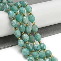 Natural Amazonite Beads Strands&nbsp;G-N342-46