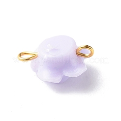 Opaque Acrylic Beads Link&nbsp;PALLOY-JF00827