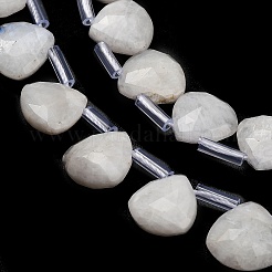 Natural Rainbow Moonstone Beads Strands&nbsp;G-C292-A01-01