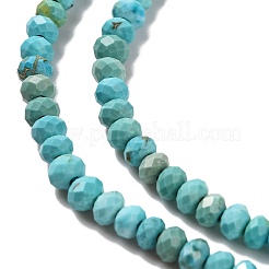 Natural Howlite Beads Strands&nbsp;G-H025-03B-01