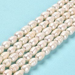 天然養殖淡水パールビーズ連売り  ライス  グレードAB  ライム  8~10x6~7mm  穴：0.7mm  約36~37個/連  12.99~13.19''（33~33.5センチメートル）&nbsp;PEAR-E016-192