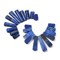 Natural Lapis Lazuli Beads Strands&nbsp;G-P298-I01