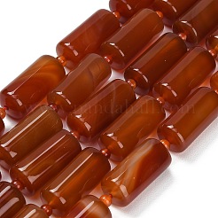 Natural Red Agate Beads Strands&nbsp;G-B178-I02-01