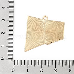 スポーツ合金エナメルペンダント  ゴールドカラー  リュージュ  30x28x1mm  穴：2mm&nbsp;ENAM-I074-01G-13