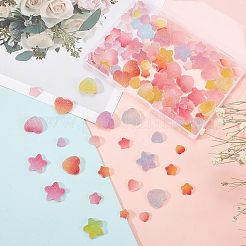 120Pcs 6 Style PVC Cabochons&nbsp;KY-OC0001-09