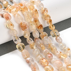 Natural Lodolite Quartz Beads Strands&nbsp;G-P497-01C-28