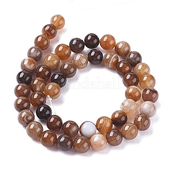 天然石縞瑪瑙/バンデットアゲートビーズ連売り  染め＆加熱  ラウンド  シエナ  8mm  穴：1.2mm  約47個/連  14.96インチ（38cm）&nbsp;X-G-G582-8mm-55