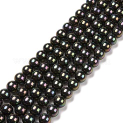 Shell Pearl Bead Strands&nbsp;BSHE-L025-05-8mm