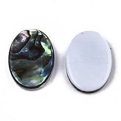 Natural Abalone Shell/Paua Shell Cabochons&nbsp;SSHEL-N034-73A-01