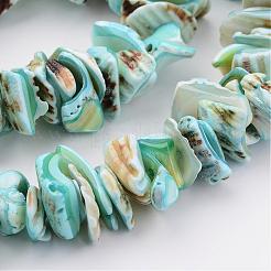Natural Shell Bead Strands&nbsp;BSHE-P010-04