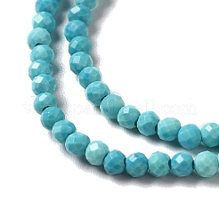 Natural Howlite Beads Strands&nbsp;G-C025-02A-01