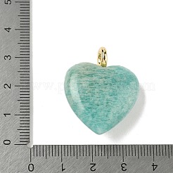 Natural Amazonite Pendants&nbsp;X-G-P585-03G-10
