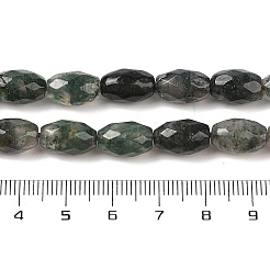 Natural Moss Agate Beads Strands&nbsp;G-Q194-B03-01