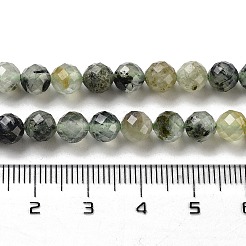 Natural Prehnite Beads Strands&nbsp;X-G-G140-A19-08